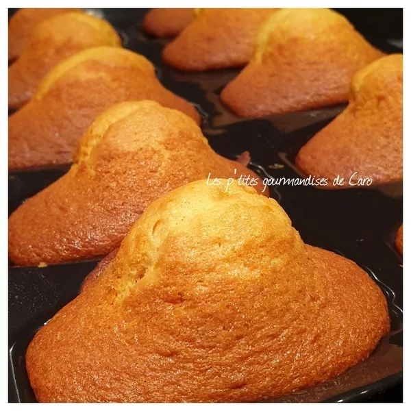 Madeleines de Claire HEITZLER