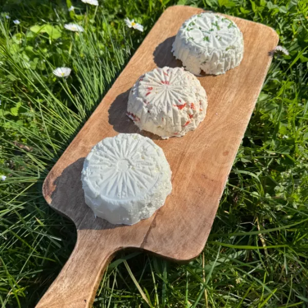 PETITS FROMAGES FRAIS DE BREBIS AROMATISES