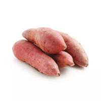 230 gramme(s) de patate(s) douce(s)