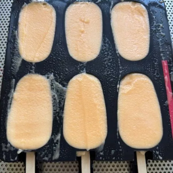 Sorbet Melon 