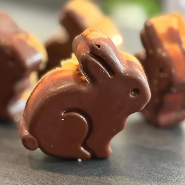 Les lapins en Shortbreads 