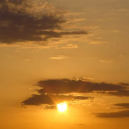 choumy18