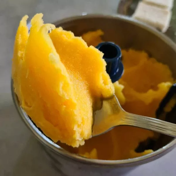 Sorbet mangue-passion