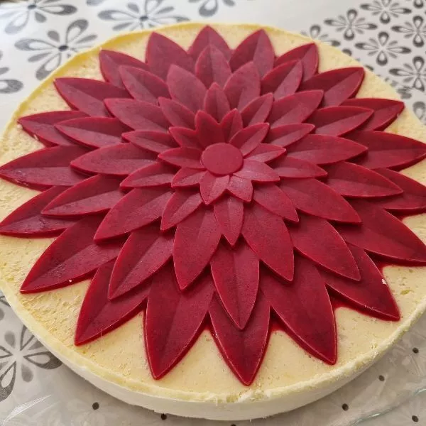Tiramisu entremets framboise