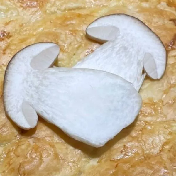 Ma tourte aux cèpes.