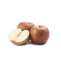 1100 gramme(s) de pommes sucrées type elstar, belle de boskoop ou gloden