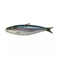 3 filets de sardine