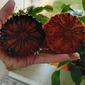 moelleux pommes/cannelle