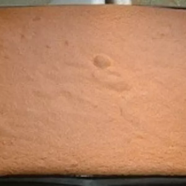 Génoise de Nathencuisine pour gateau monté, sans I-cook'in