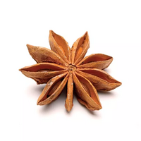 1 étoile d'anis