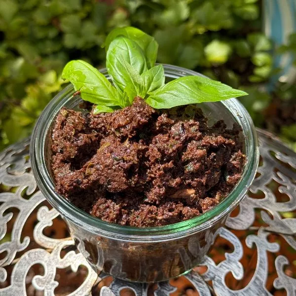 Tapenade olive noire