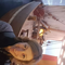 celinef86