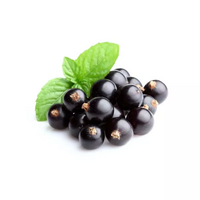 15 gramme(s) de cassis
